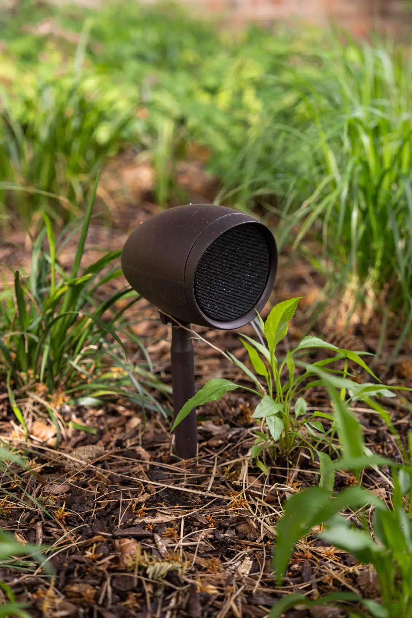 A bronze garden speaker on a ground spike, set into planting